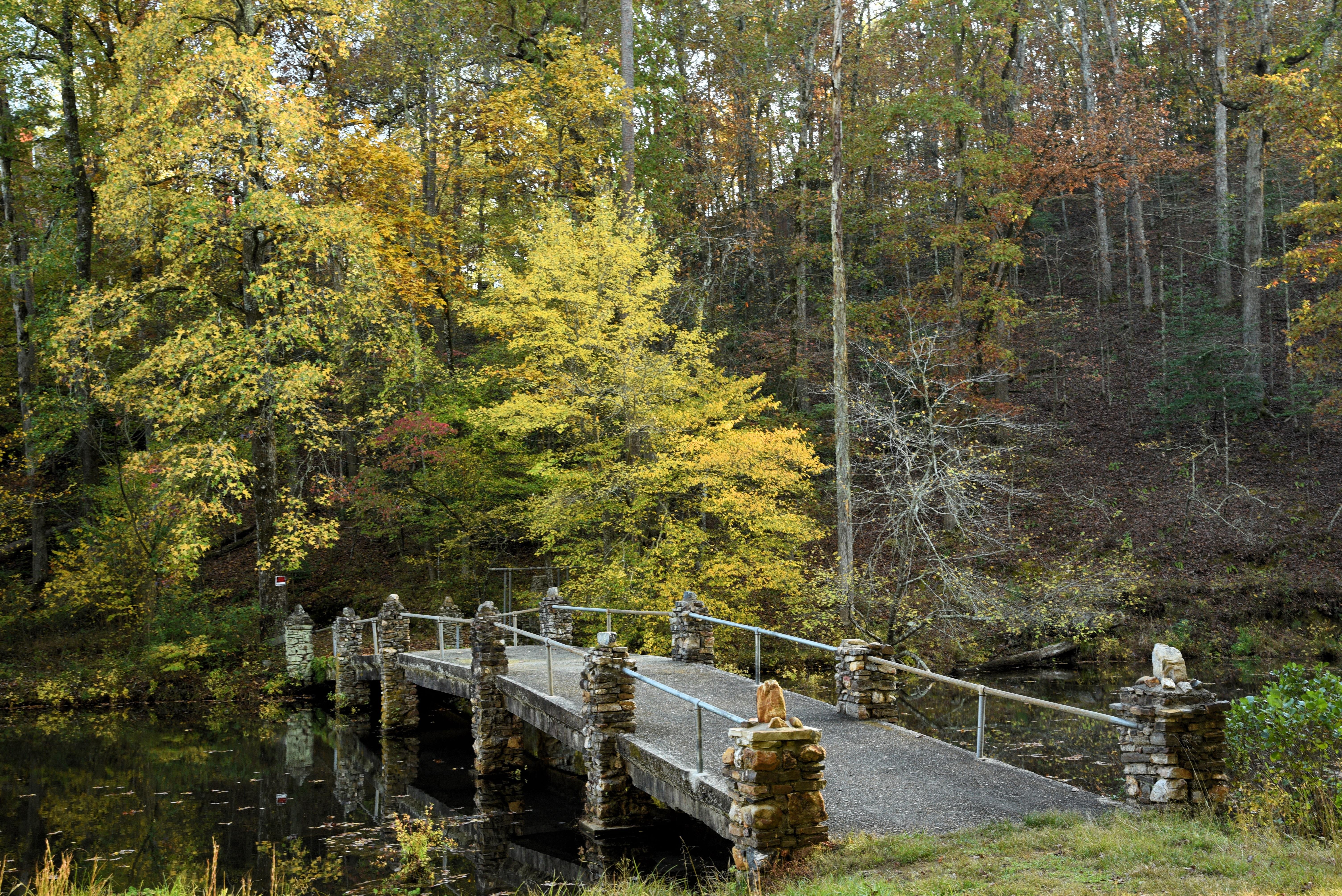 Hot Springs National Park — Bridge with fall colors