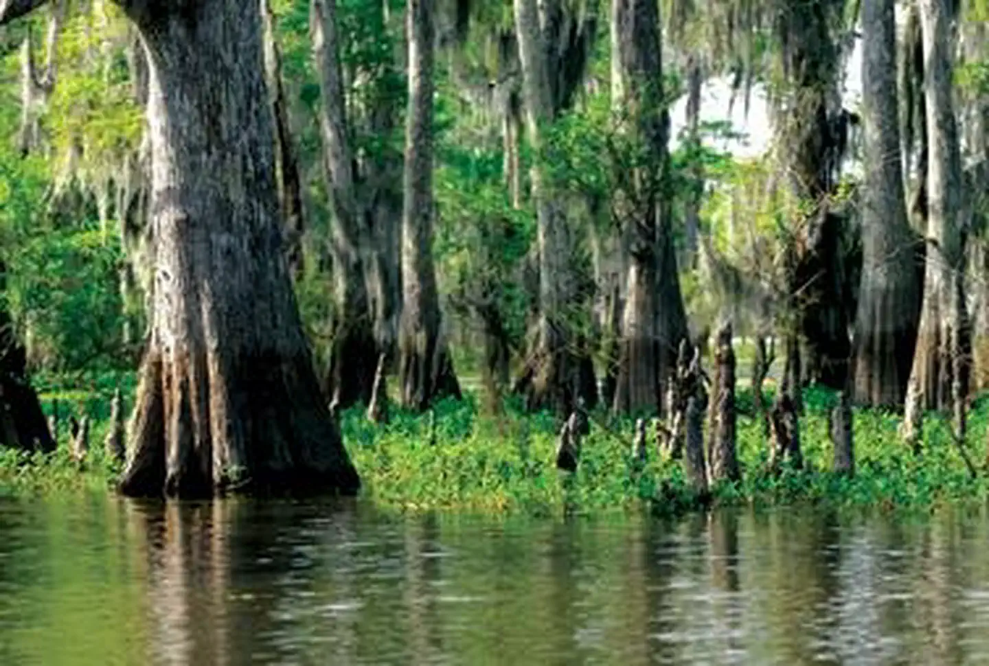 Atchafalaya National Heritage Area