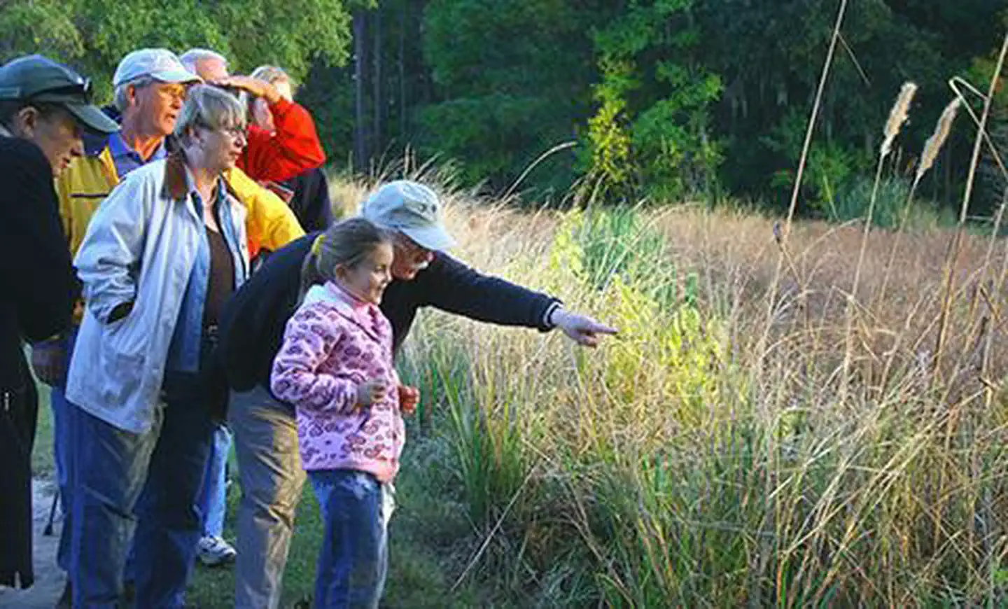 ACE Basin National Estuarine Research Reserve — ACE Basin National Estuarine Research Reserve