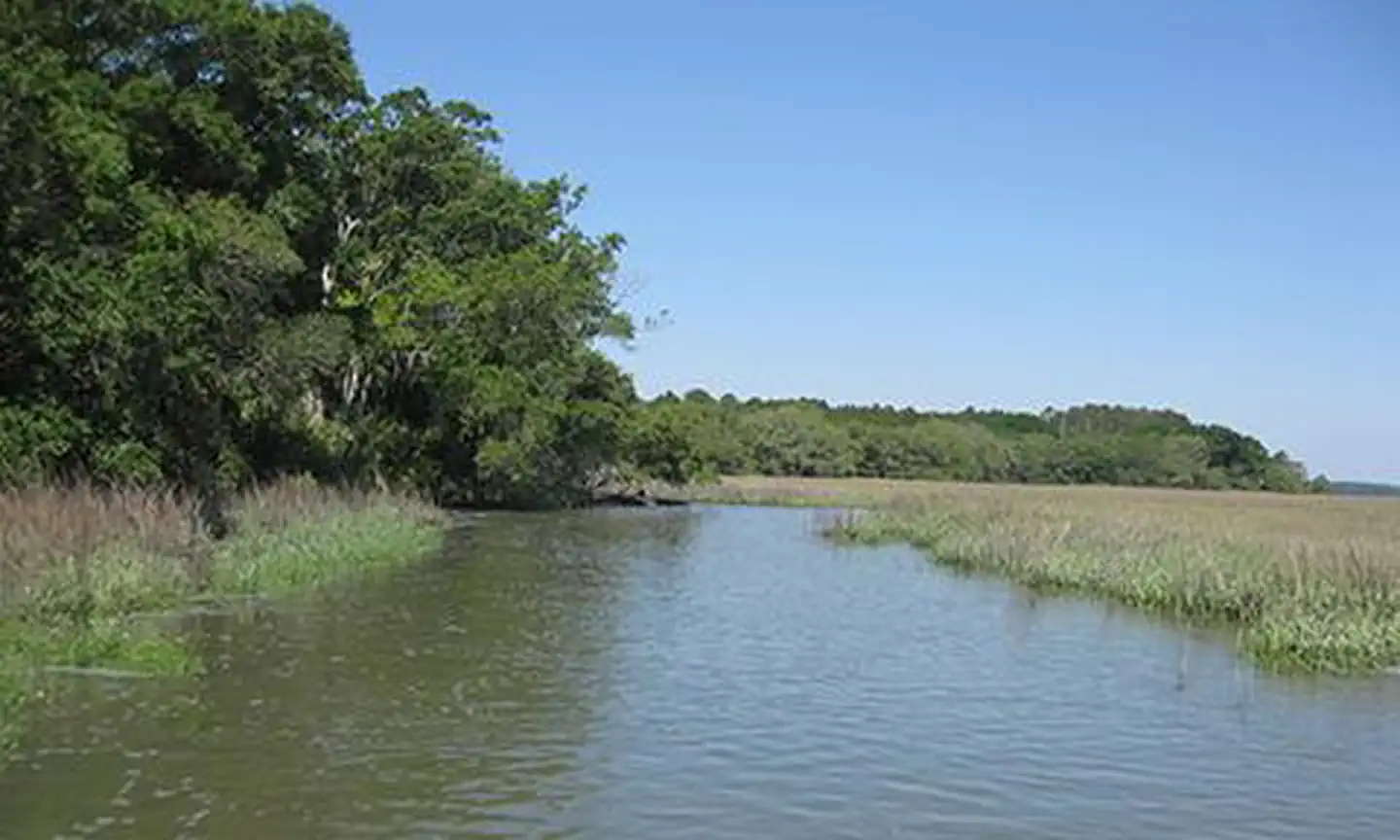 ACE Basin National Estuarine Research Reserve