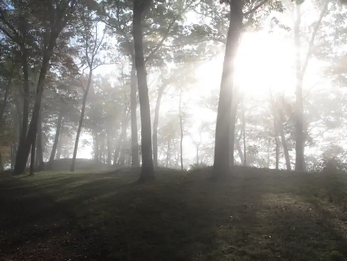 Effigy Mounds National Monument — Mounds on a Foggy Morning