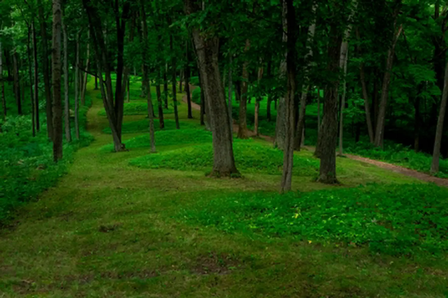 Effigy Mounds National Monument — Conical Mounds Leading to Fire Point