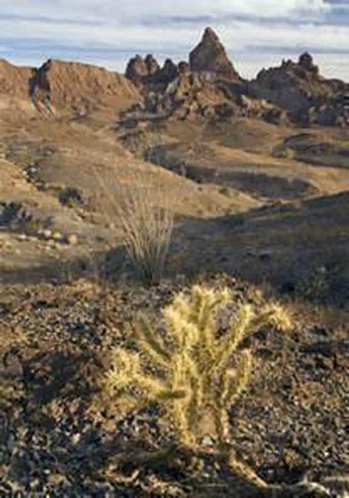 Indian Pass Wilderness