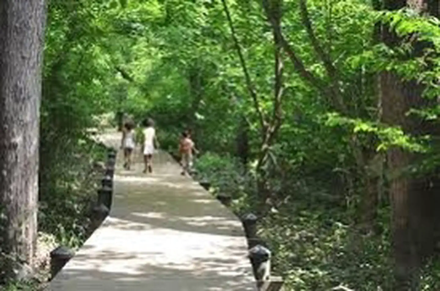 Theodore Roosevelt Island Park