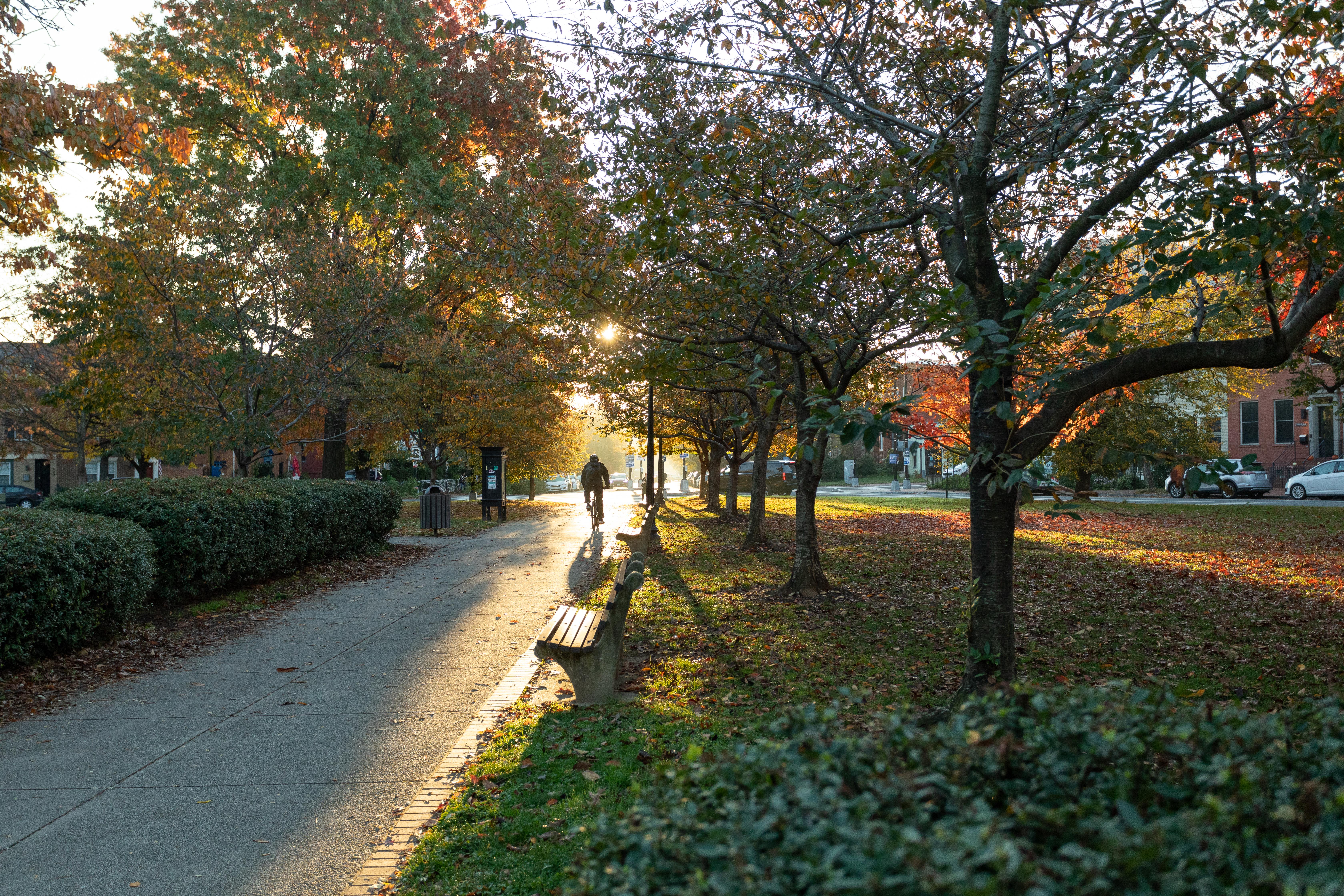 Capitol Hill Parks