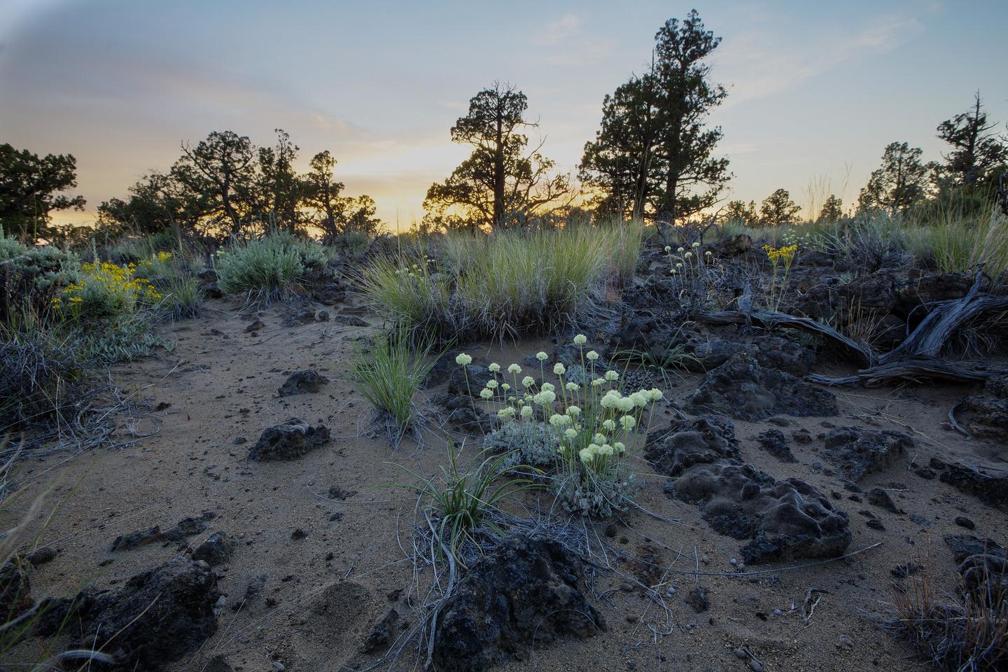 Oregon Badlands Wilderness — Spring sunset in the Oregon Badlands Wilderness