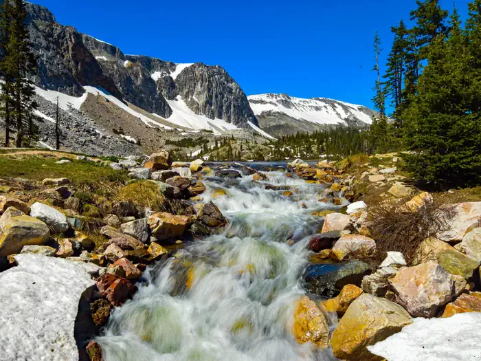 Medicine Bow-Routt NFs & Thunder Basin NG — Medicine Bow Routt National Forest