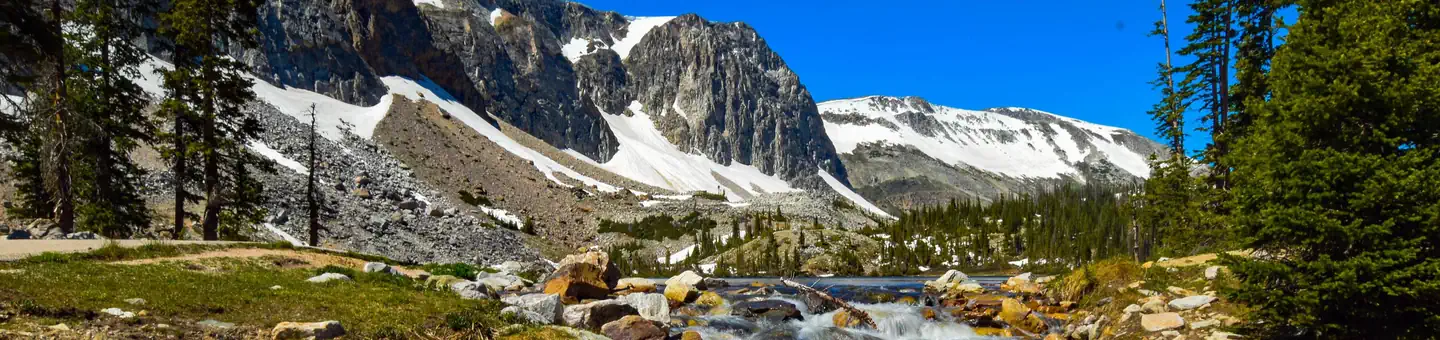 Medicine Bow-Routt NFs & Thunder Basin NG