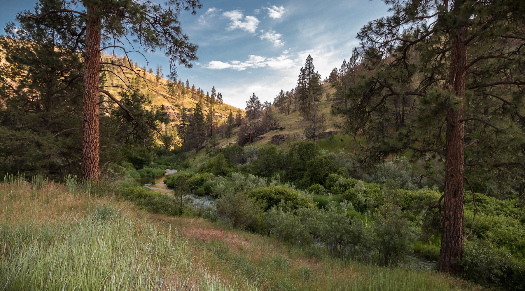 South Fork John Day Wild and Scenic River — Upriver view of the South Fork John Day Wild and Scenic River