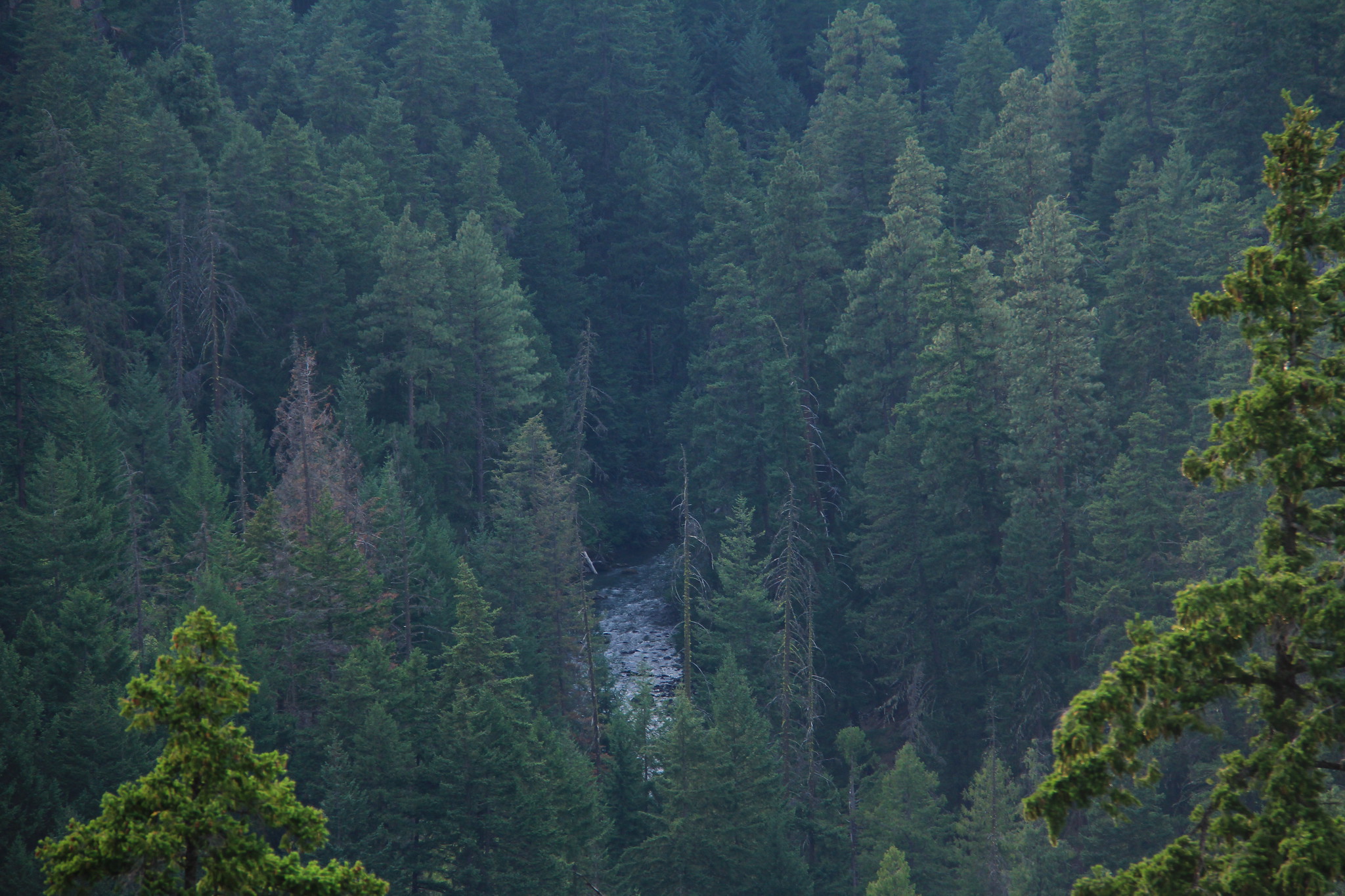White Wild and Scenic River — Into the canyon of the White Wild and Scenic River