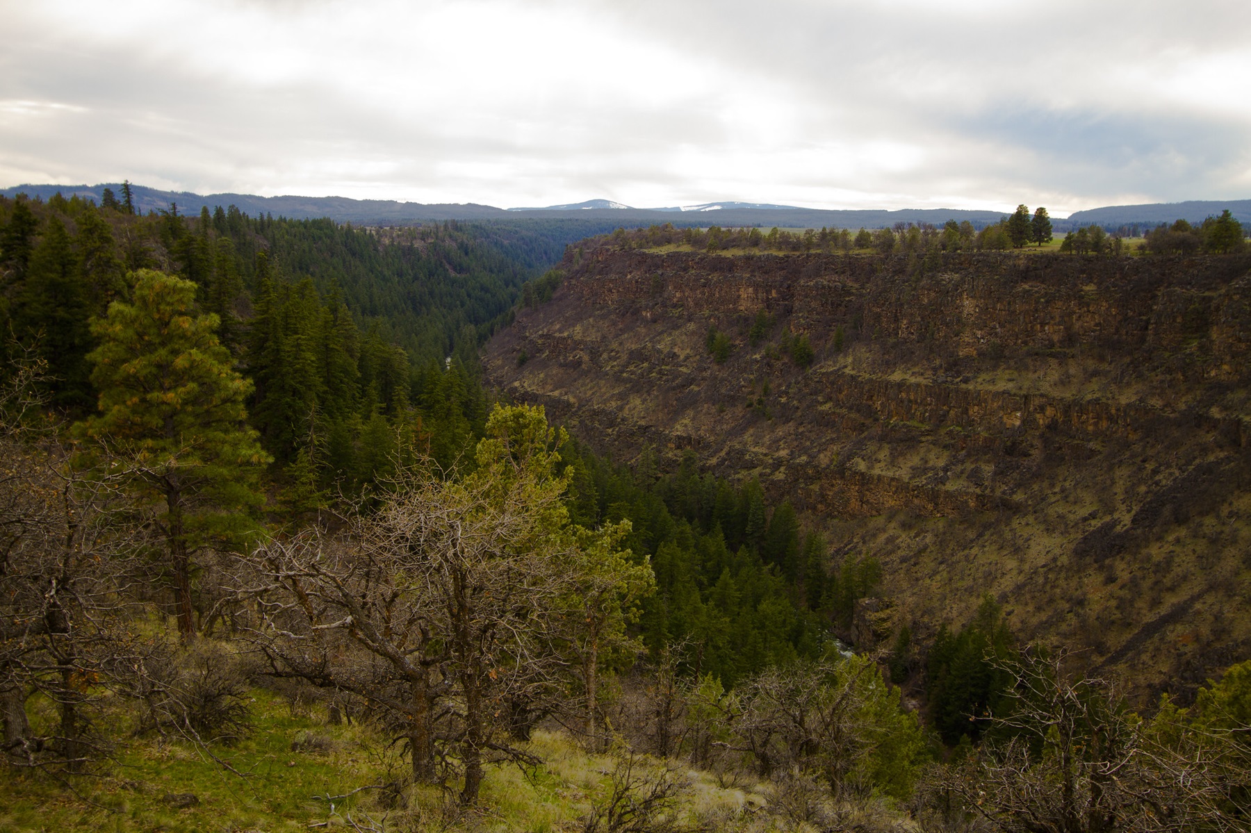 White Wild and Scenic River — White Wild and Scenic River