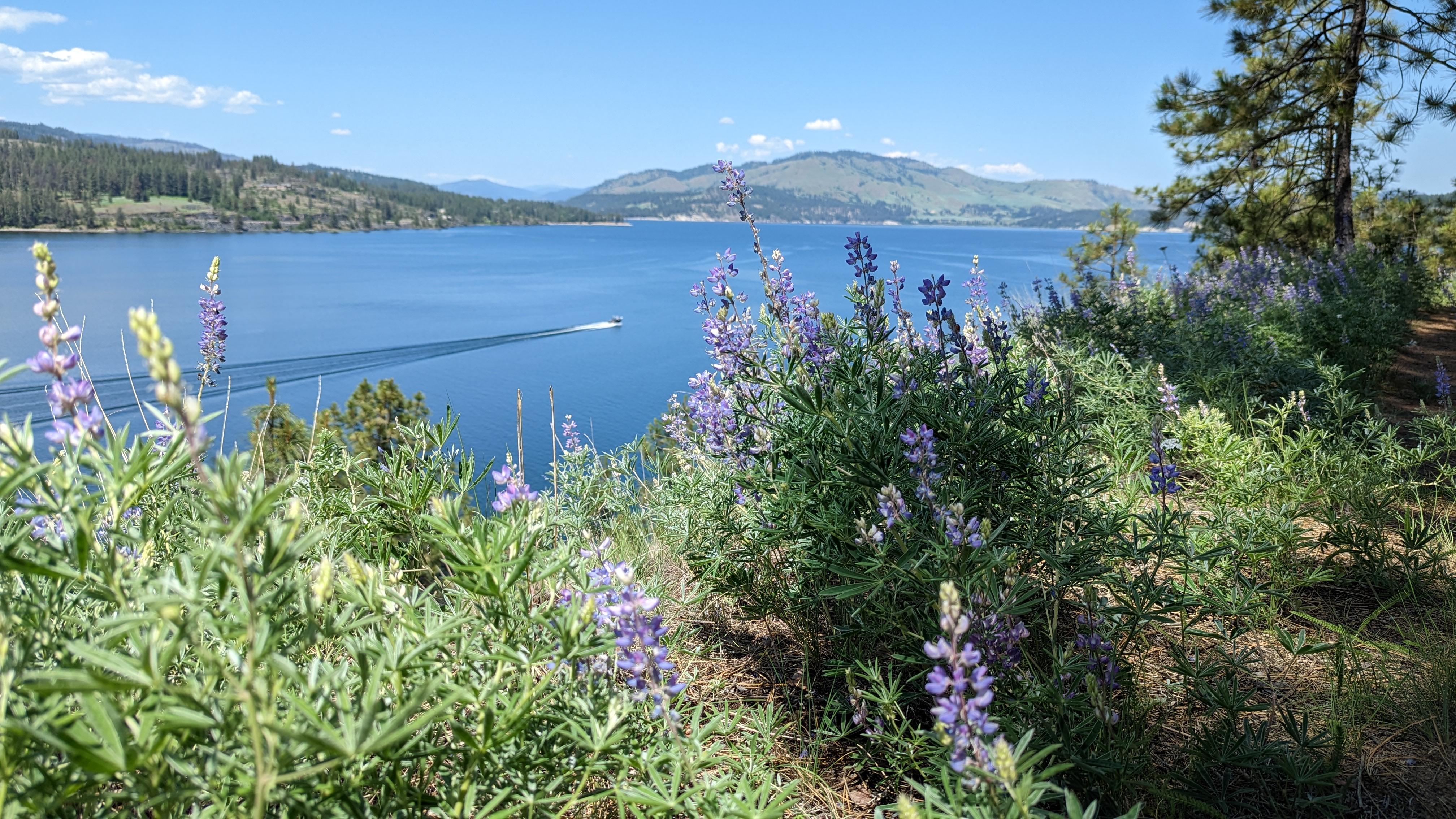 Lake Roosevelt National Recreation Area — Lake Roosevelt at Kettle Falls