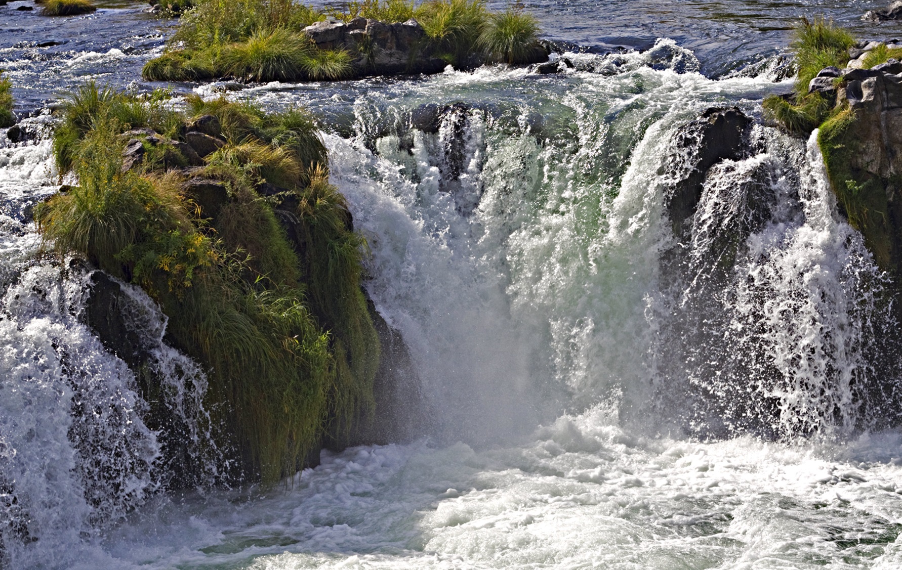Steelhead Falls Trail — Steelhead Falls