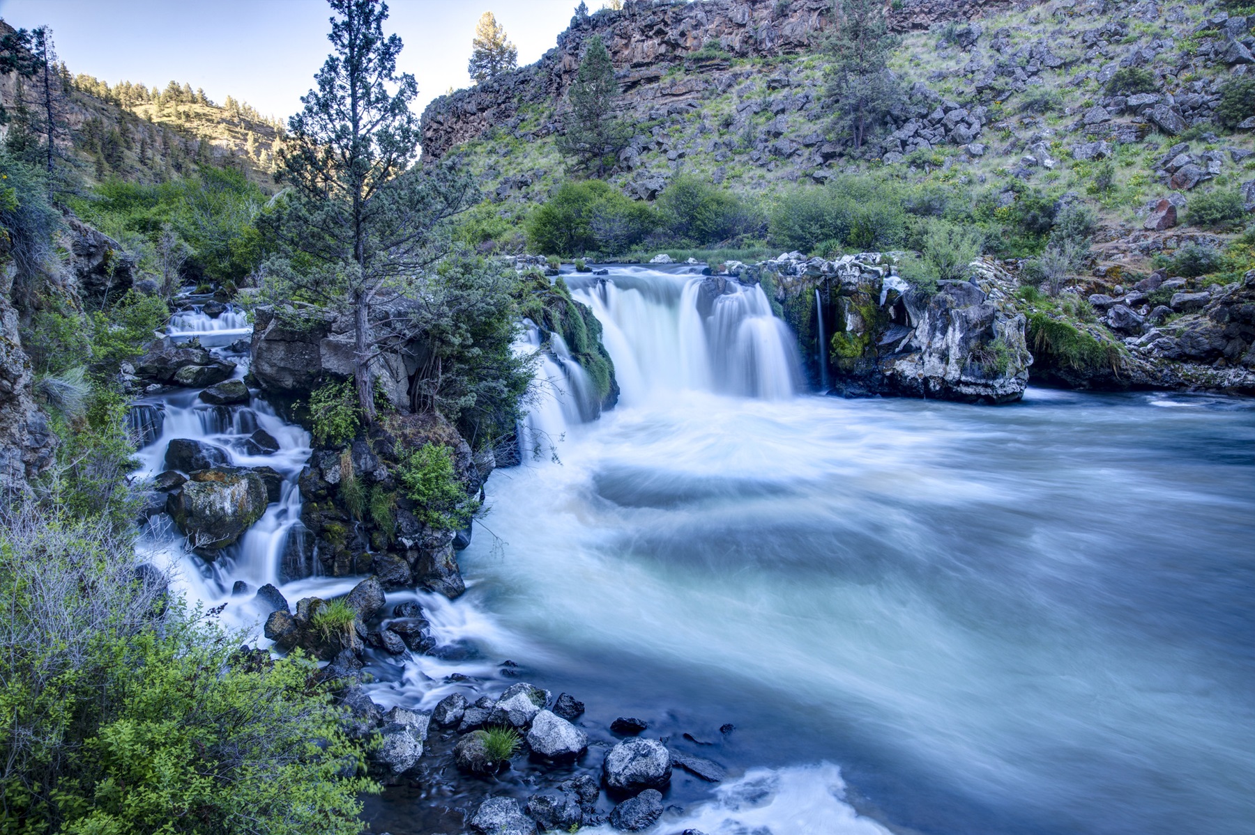 Steelhead Falls Trail