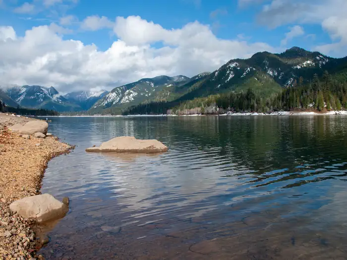 Olympic National Forest — Wynoochee lakeshore in Olympic National Forest