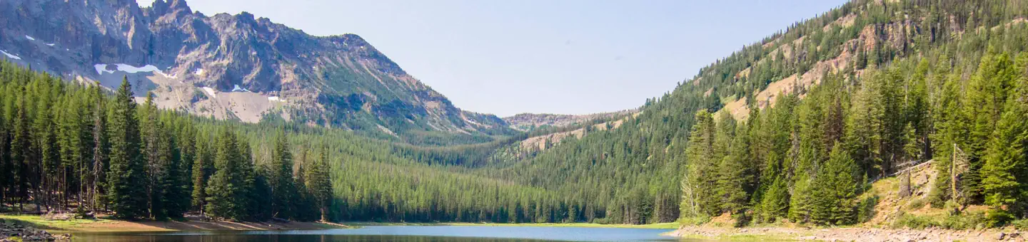 Malheur National Forest