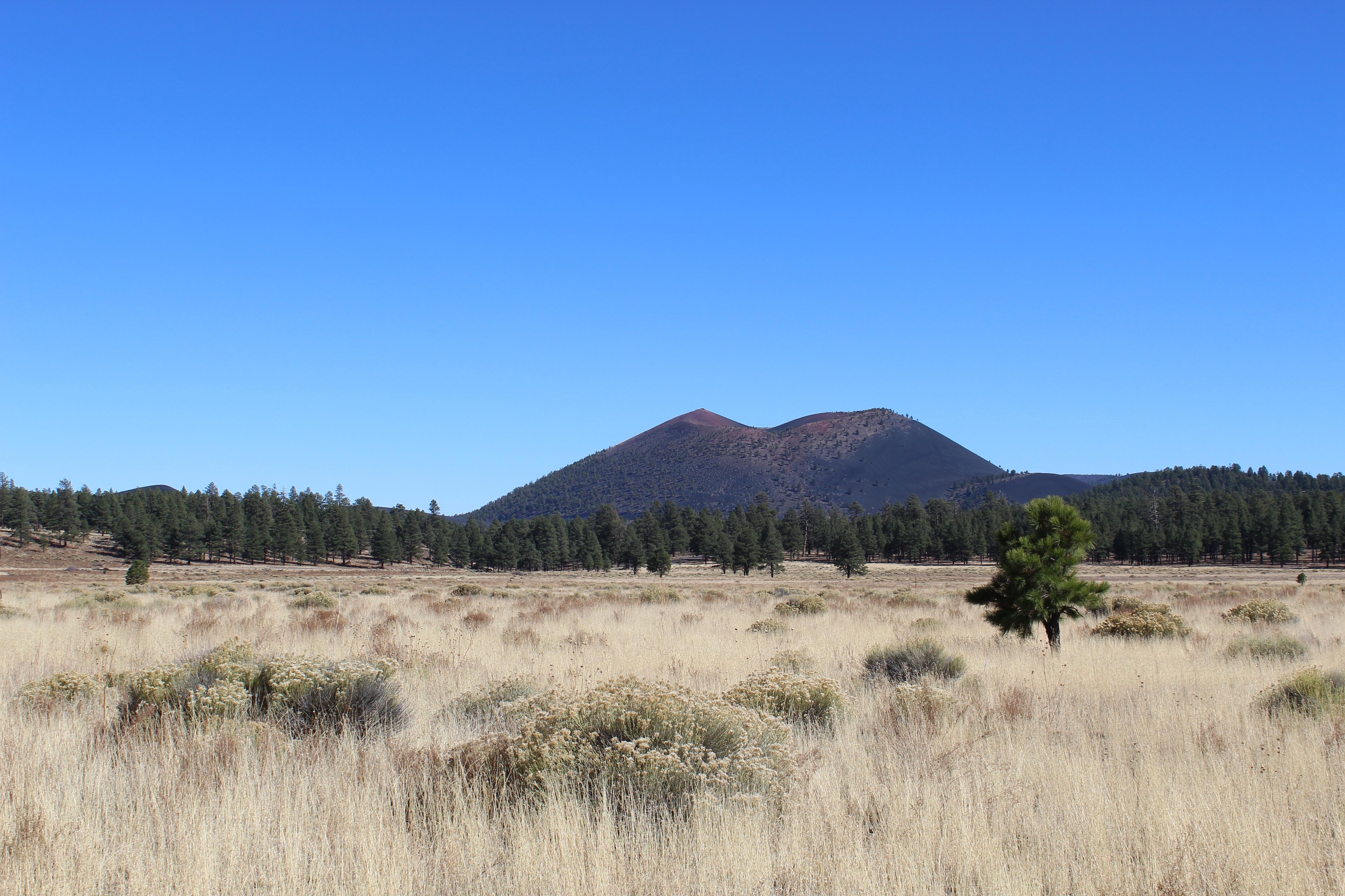 Sunset Crater Volcano National Monument — Sunset Crater over Bonito Park