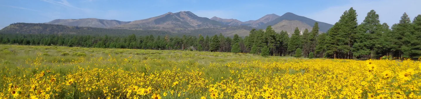 Sunset Crater Volcano National Monument