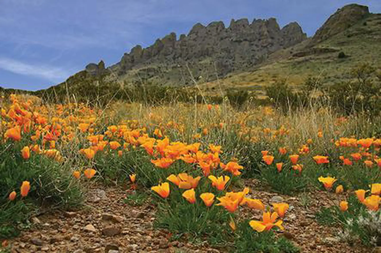 Rockhound State Park