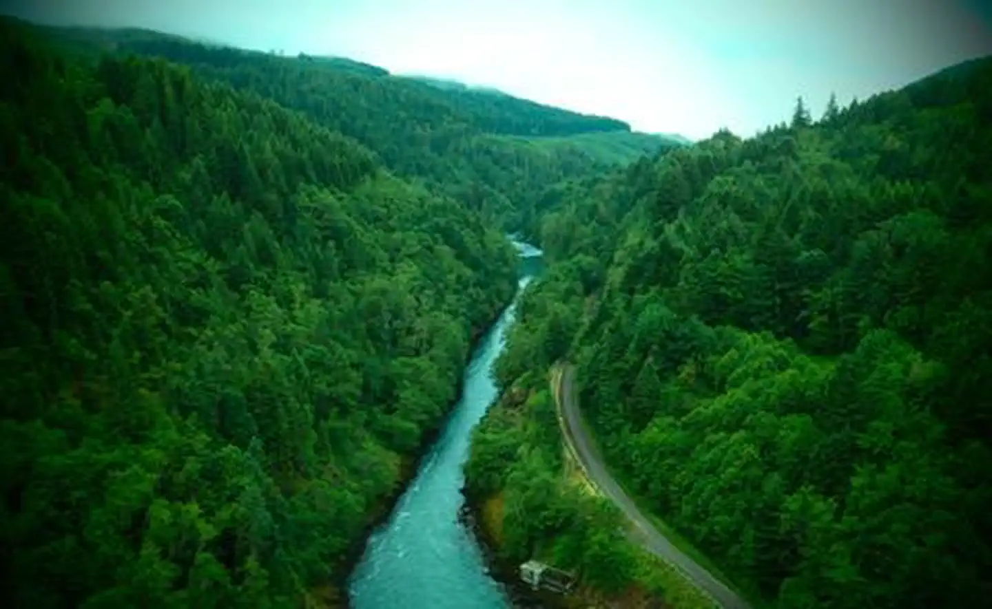 Green Peter Lake — River channel through treed valley