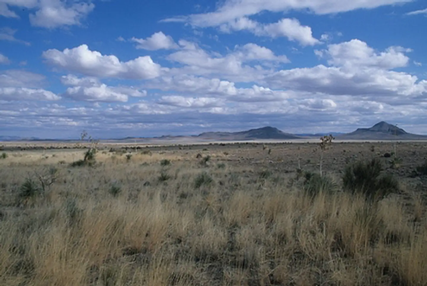 Lake Valley Backcountry Byway