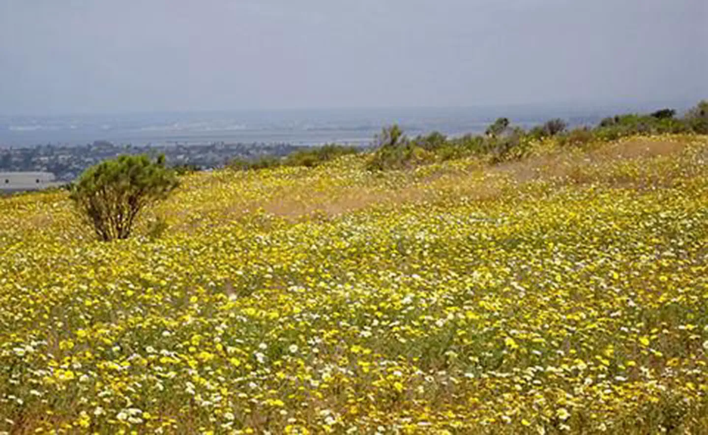 Tijuana River National Estuarine Research Reserve