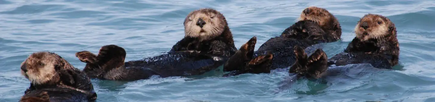 Monterey Bay National Marine Sanctuary