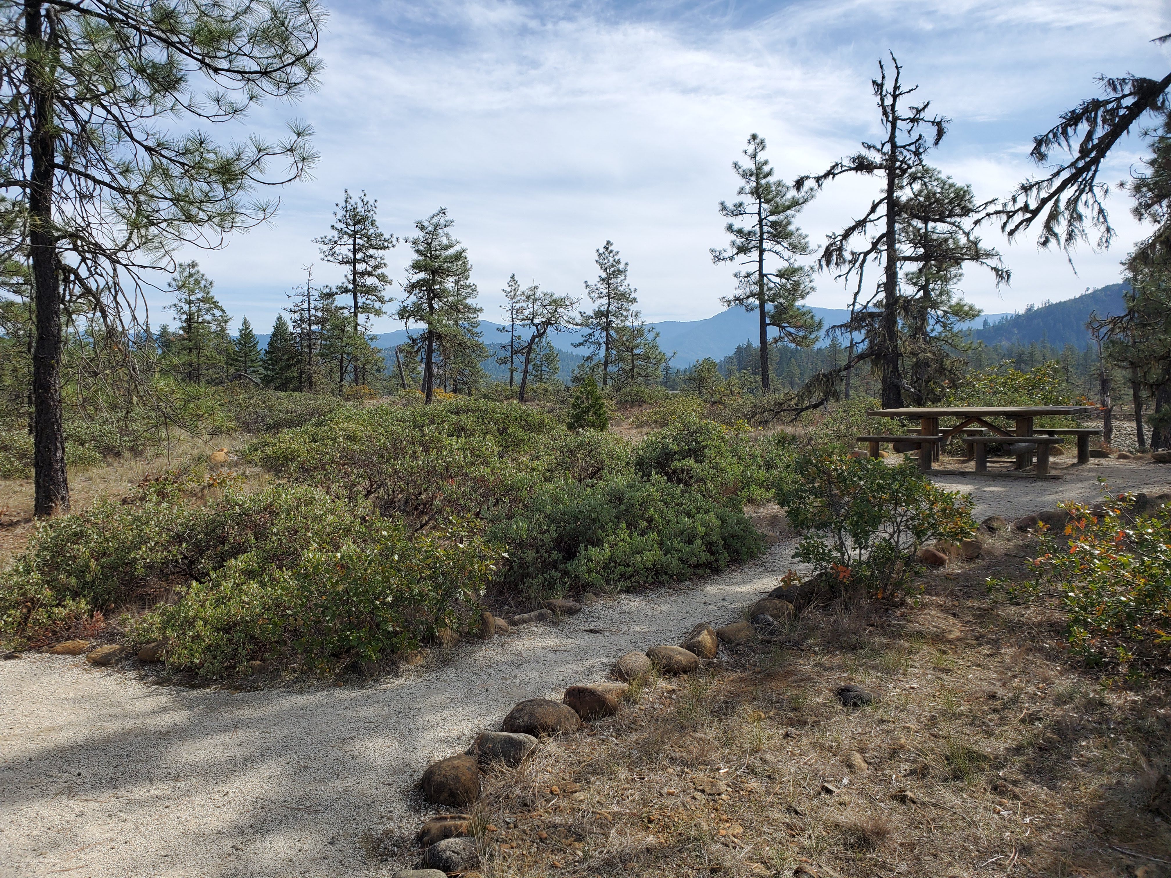 Rough and Ready Botanical Wayside — Picnic table along the Rough and Ready Flat trail.