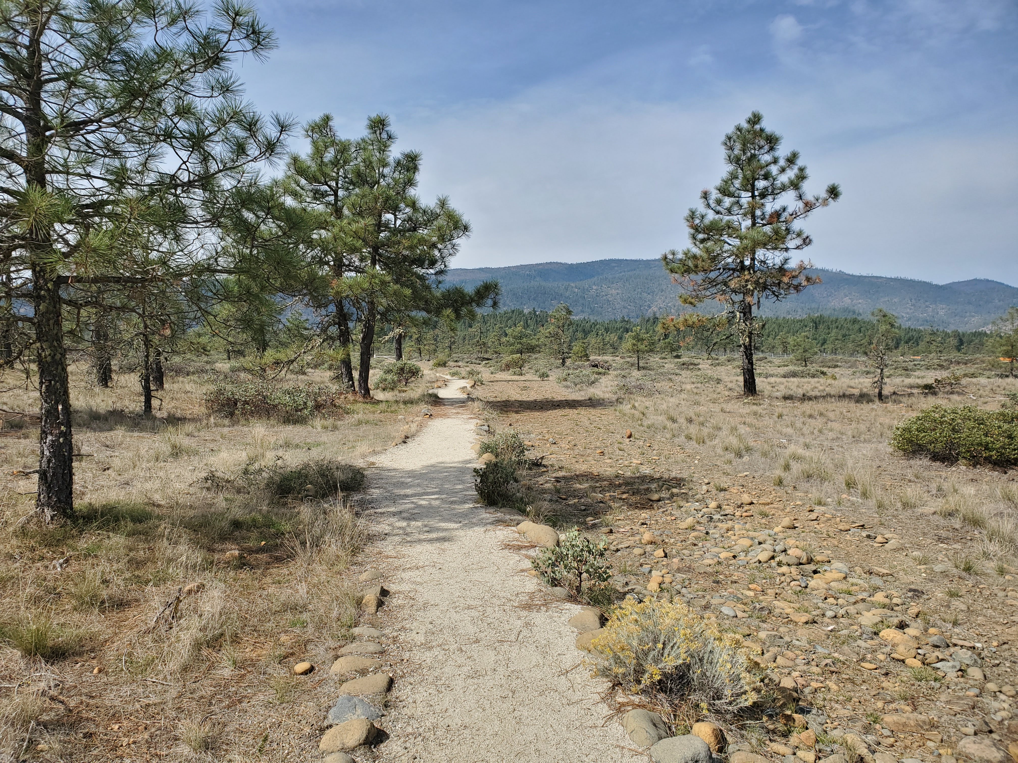 Rough and Ready Botanical Wayside — View along the Rough and Ready Flat trail.