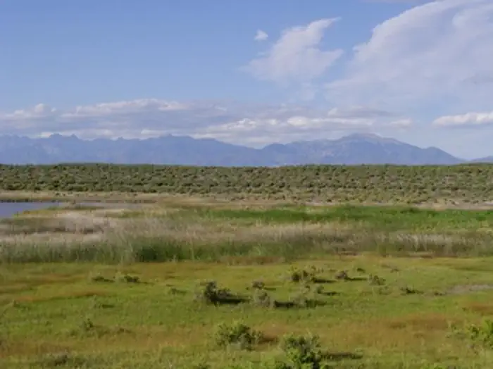 Blanca Wetlands — Blanca Wetlands
