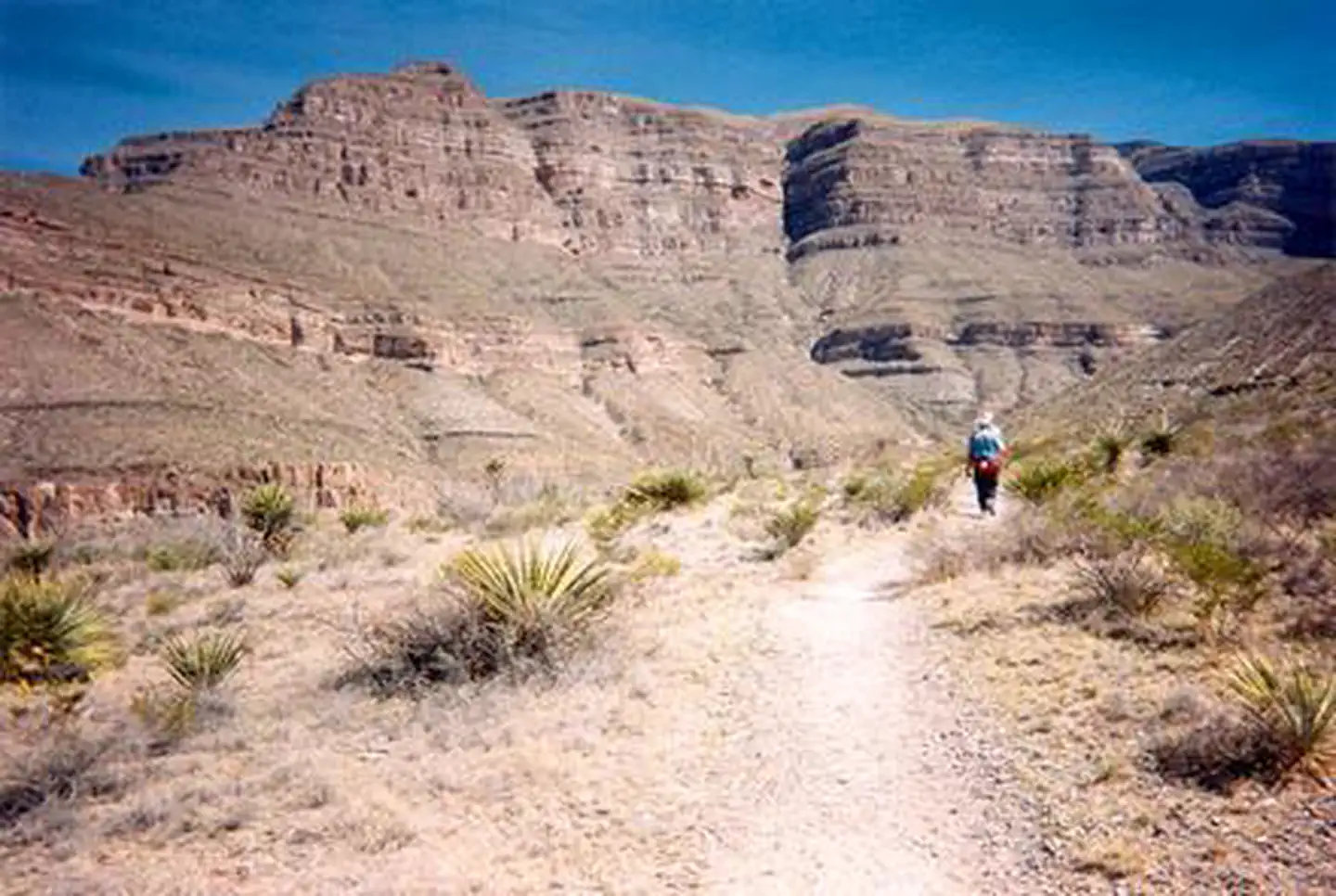 Oliver Lee Memorial State Park