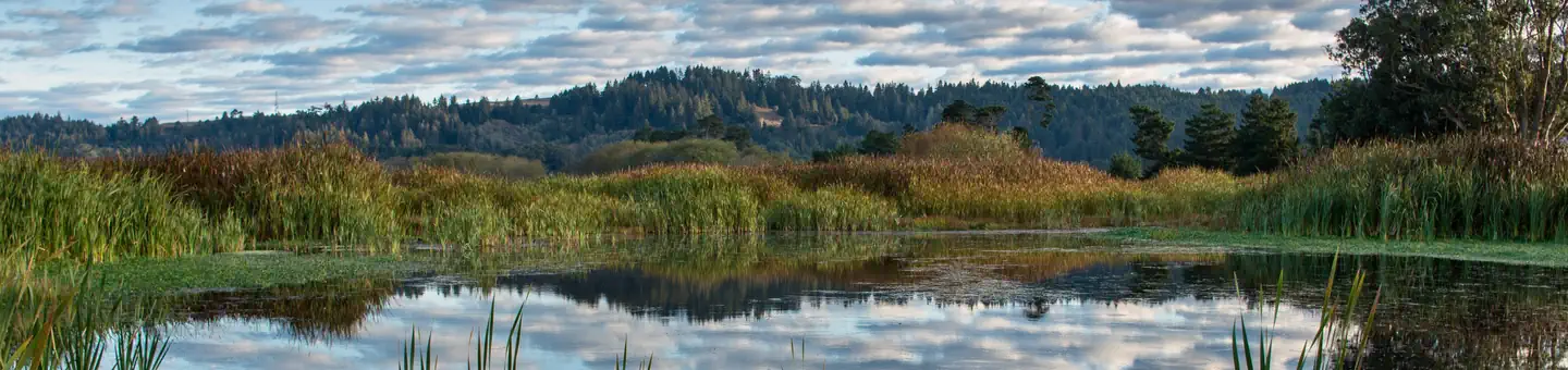 Humboldt Bay National Wildlife Refuge