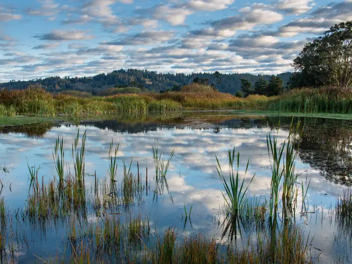 Humboldt Bay National Wildlife Refuge — Humboldt Bay National Wildlife Refuge