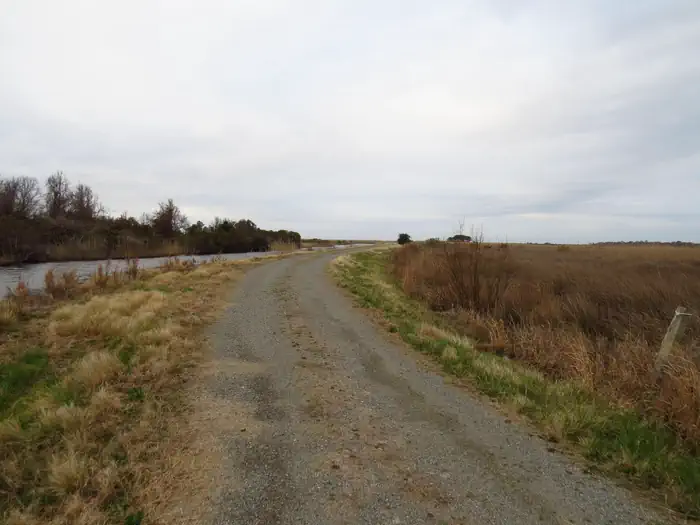 Back Bay National Wildlife Refuge — A gravel road cuts between cut grass and vegetation. White clouds cover the sky. A narrow body of water parallels the road on the left.