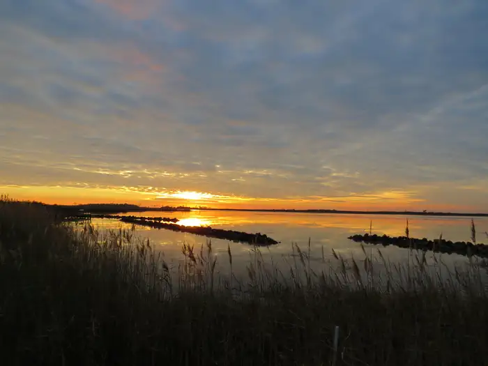 Back Bay National Wildlife Refuge — Gold and orange sunset over water. Marsh vegetation and breakwater rocks stand in front of the photgrapher with the sunset on the horizon. The sky is cloudy, with clouds changing color from gold to grayish blue thr