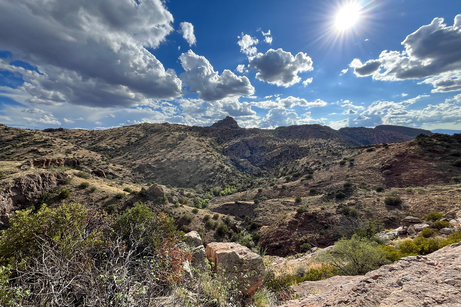 Redfield Canyon Wilderness