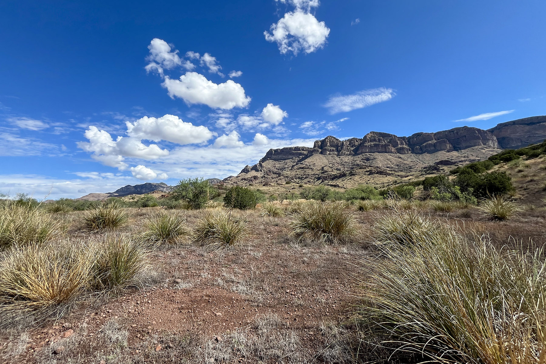 Redfield Canyon Wilderness — Redfield Canyon Wilderness landscape