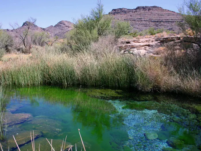 Ash Meadows National Wildlife Refuge — Ash Meadows National Wildlife Refuge, NV
