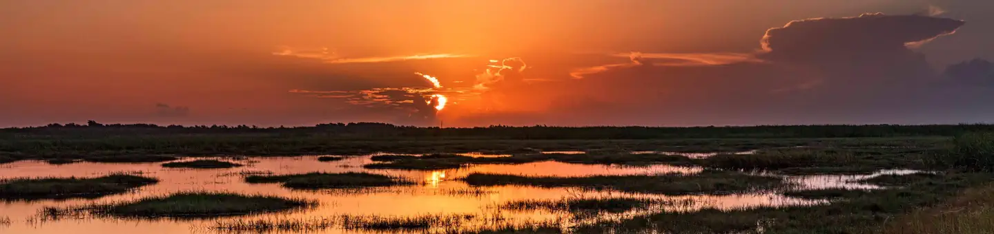 Brazoria National Wildlife Refuge