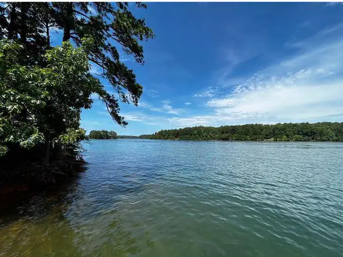 Lake Sidney Lanier — Lake Sidney Lanier with tree on left of frame and lake on right.