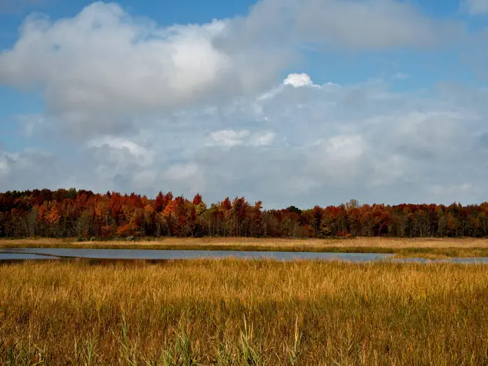 Bombay Hook National Wildlife Refuge — Bombay Hook National Wildlife Refuge