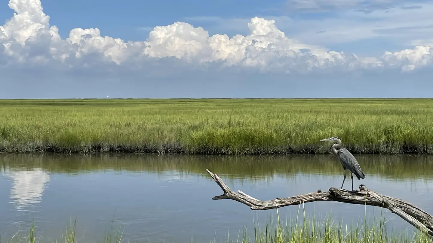 Bombay Hook National Wildlife Refuge