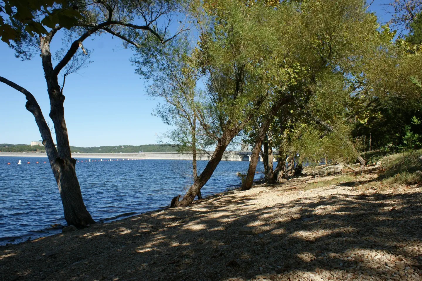 Table Rock Lake — Trees along the lake