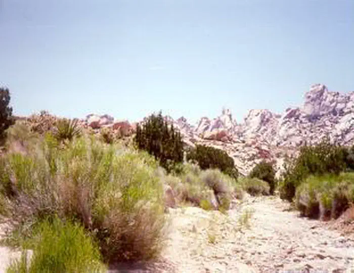 Bristol Mountains Wilderness