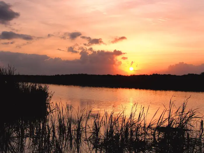 Arthur R. Marshall Loxahatchee National Wildlife Refuge — Arthur R. Marshall Loxahatchee National Wildlife Refuge, Florida