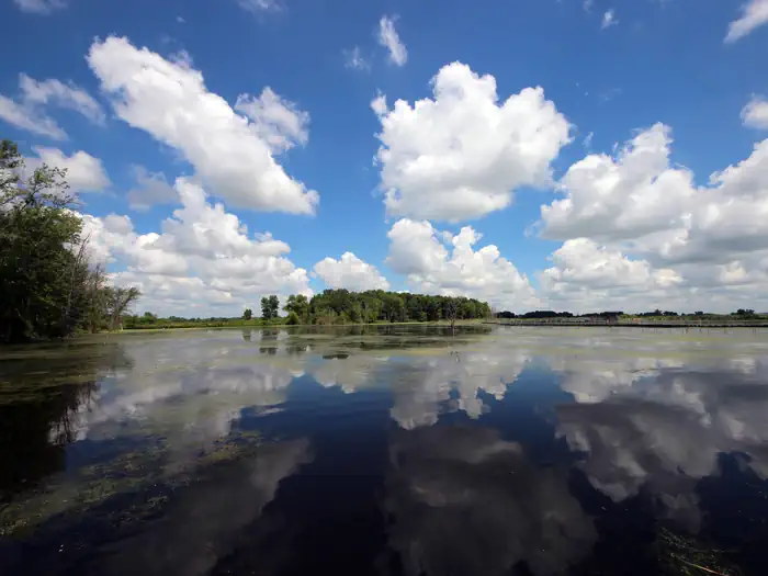 Horicon National Wildlife Refuge — Horicon National Wildlife Refuge, Wisconsin