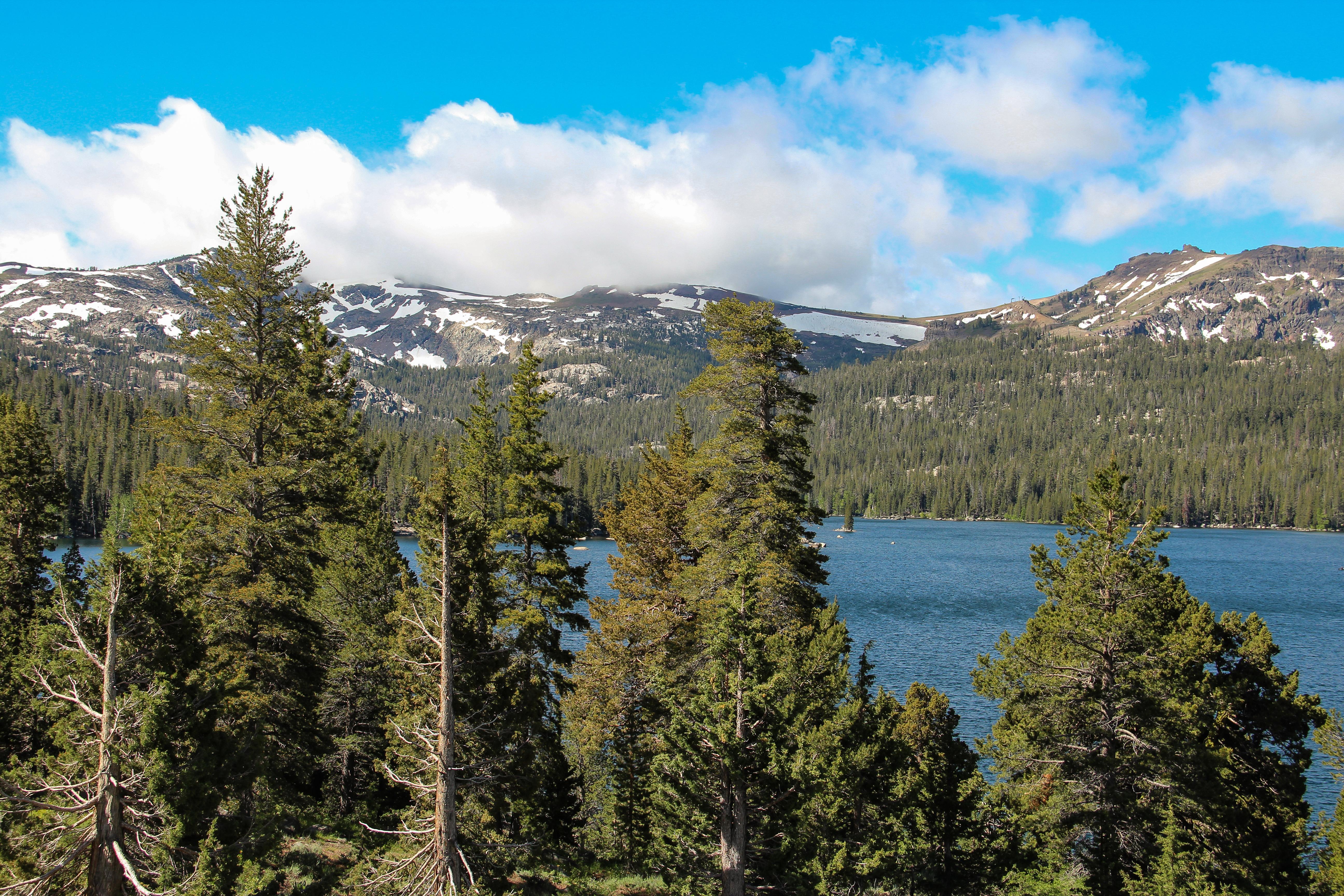 California National Historic Trail