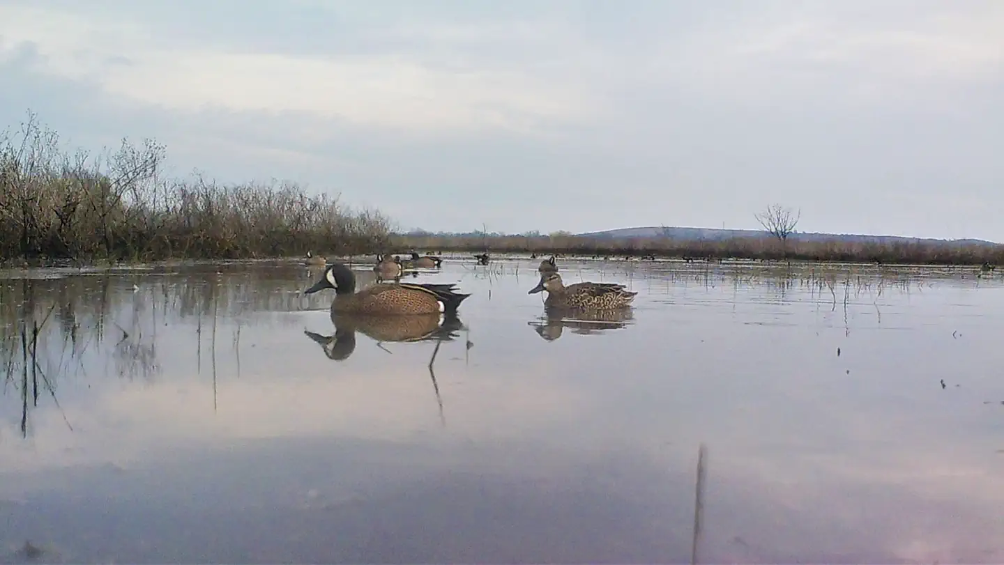 Elk City Lake
