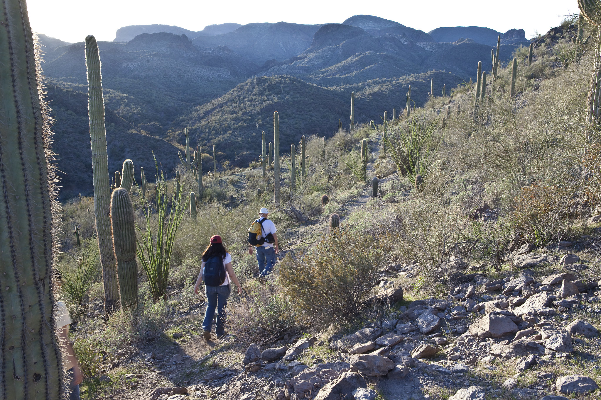 Hell's Canyon Wilderness