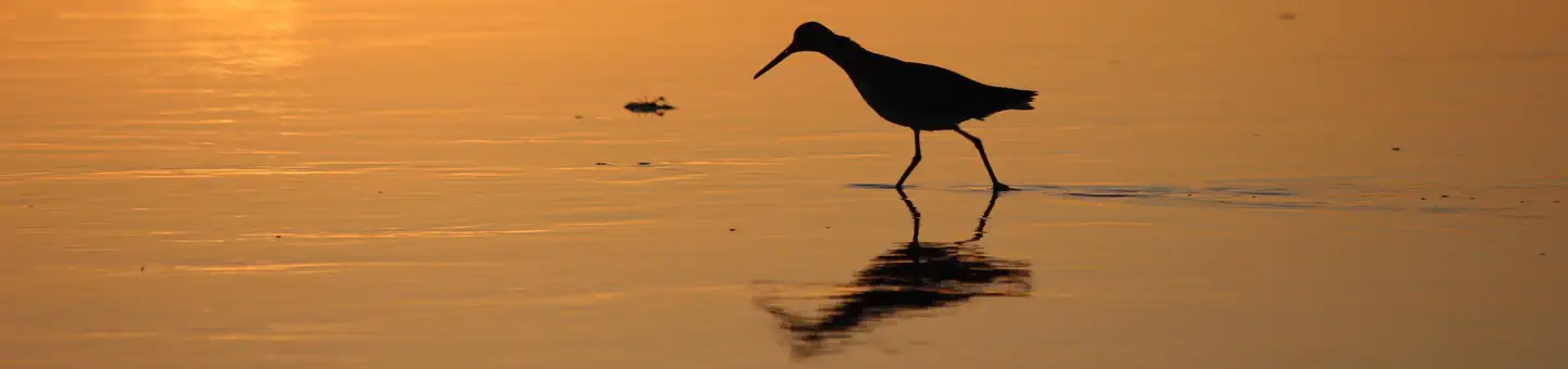 Blackbeard Island National Wildlife Refuge